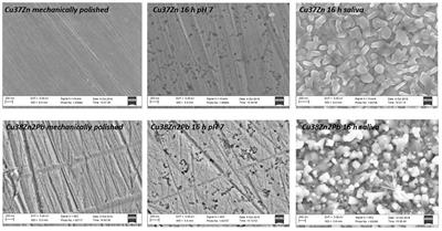 Model Protective Films on Cu-Zn Alloys Simulating the Inner Surfaces of Historical Brass Wind Instruments by EIS and XPS